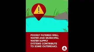 How to Protect Yourself From Contaminated Water | Merck Veterinary Manual