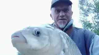 Мелочь..., а приятная
