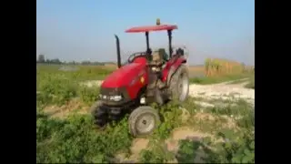 stocchi 2011