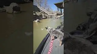 #Shimano