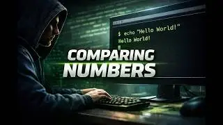 BASH from beginner to advanced: Solutions to Hackerrank Challenges - Episode 6: Comparing Numbers