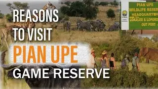 Reasons To Visit Pian Upe Game Reserve