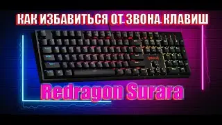 Redragon Surara ОБЗОР / КАК ИЗБАВИТЬСЯ ОТ ЗВОНА КЛАВИШ НА КЛАВИАТУРЕ