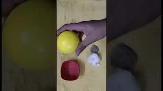Difference Between Hard And Soft Objects | Kids