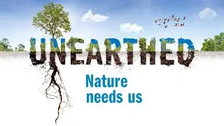 What is the biodiversity crisis?