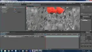 tutorial after effects  isolating a color in the sin city effect video