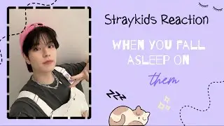 [Straykids Reaction] when you fall asleep on them 😴😘