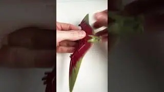 Lego Pteranodon dinosaur 
