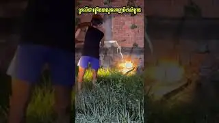 ក្រពើជាច្រើនក្បាលបានរួចចេញពីកសិដ្ឋានកន្លែងបង្ករមានការភ្ញាក់ផ្អើលទាំងយប់