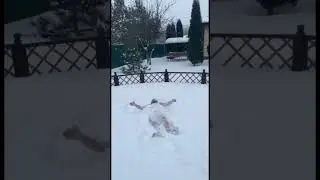 А вы куда после бани? 😏 баня с русской душой 😌 и духом 🔥