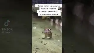 мем#мем#мемасики #мемы#мемас #мемасик#ржака #ржакадослез#прикол #смехота#смех #смехдослез#рек