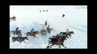Құрал, Бахош палуандар араншы