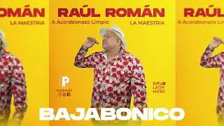 Raul Roman 
