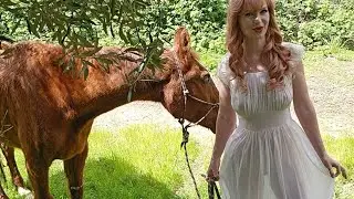 Tater and Dainty Rascal at Heart of Gold Sanctuary