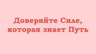 Доверяйте Силе, которая знает Путь