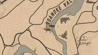 Red Dead Redemption 2 - Ratto nero e Ratto Grigio (Black and Gray Rats)