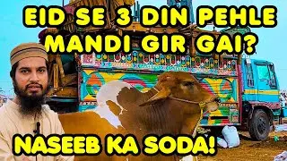 Bakra Eid Se 03 Din Pehle Kitna Maal Bacha Hai? Norther Bypass Cow Mandi | Cattle Market Karachi