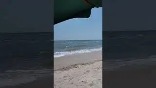 9 июля 2024 г.