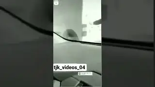 2 ноября 2021 г.