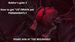 Baldur's gate 3 How to get "US"/BRAIN pet PERMANENTLY (patched)