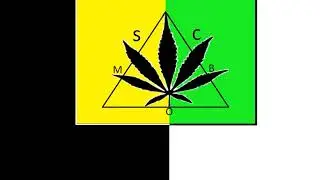 Lil Pyppo , Lilll Pappy - Mokado. Feat : Brenalta. (Prod: S.C Mob. Dj-South).@S.C_Pyppo .