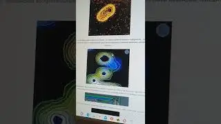 квантовая онкология