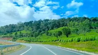 The Beautiful Roads of Kerala! Road Trip from Munnar to Club Mahindra Thekkady