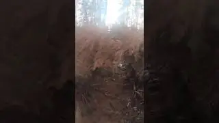 Пошукова розвідка у лісах 