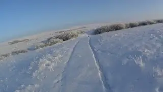 Охота на зайца 2021года.