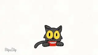 Thomas (The Gray Cat)