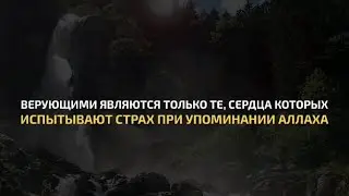 Сура Аль-Анфаль | Абу Хаджар Иракий | Красивое чтение Корана