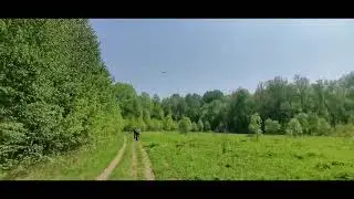 Монотуризм: Дрон летит по лесу на Атыш