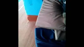 Месиво на физре