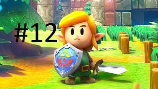 Lets Play Links Awakening Part 12 (The Color Dungeon!)
