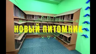 Я построил новый питомник для своих голубей