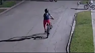 Wheelie