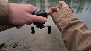 Coho salmon on the spoon
