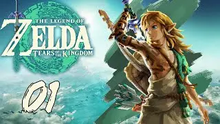 Let's Stream Zelda: Tears of the Kingdom Part 1 - Why Is It Crying?