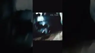 Escape from Tarkov. Raid🎬