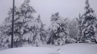 Winter Wonderland