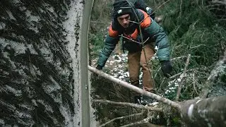 DISASTRO COLOSSALE: 200Kmh di VENTO! Ottobre 2018 | Nicolò Borgo