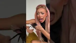 I overcame my biggest fear of SPIDERS 😱💀🕸️