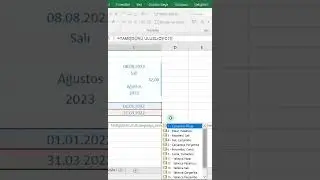 İki Tarih Arasındaki Çalışma Gün Sayısını Bulma, Tatil Günlerini Seçerek Hesaplama #shorts #excel
