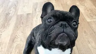 look at me