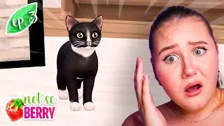 I Got a Kitty 🐱 (NOT SO BERRY 2 CHALLENGE! 🖤 Ep. 3)