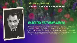 Валентин Катаев  — Живое пламя