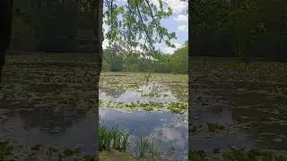 создаём фокус,как у цапли,и достигаем цели