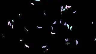 Falling Feather Pastel HD Animation