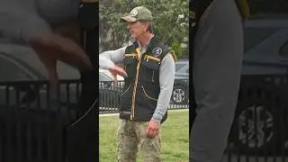 Control in Dog Training 