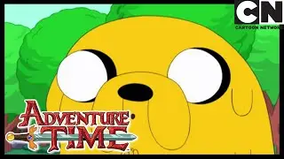 Яблочный вор | Время приключений | Cartoon Network